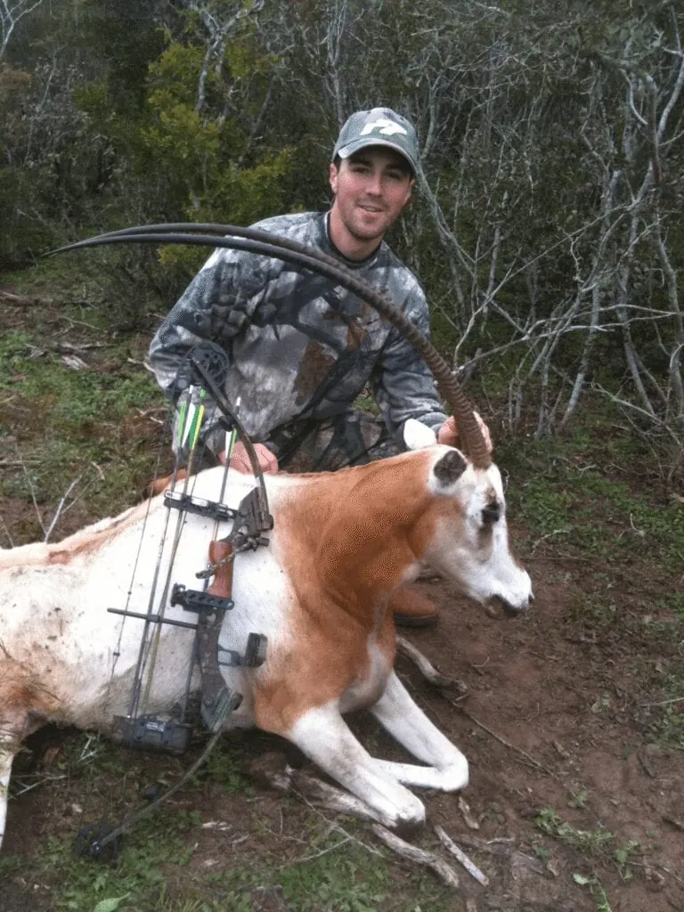 Bowhunter with a scimitar-horned oryx